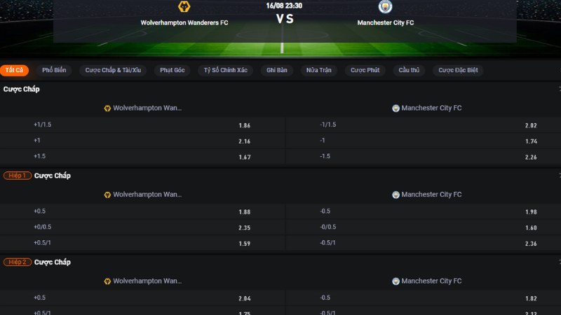 Wolves vs Man City