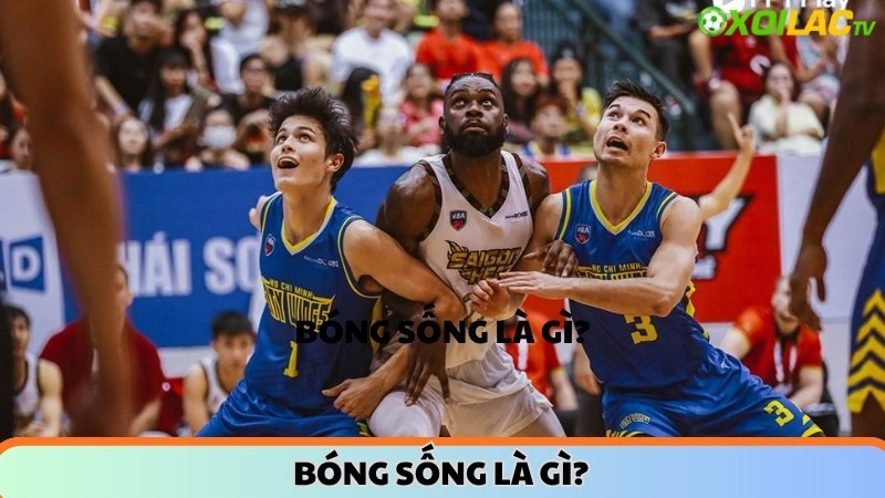 Bóng sống và bóng chết là gì?