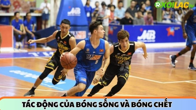 Tác động của bóng sống và bóng chết